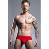Modus Vivendi Royal Brief