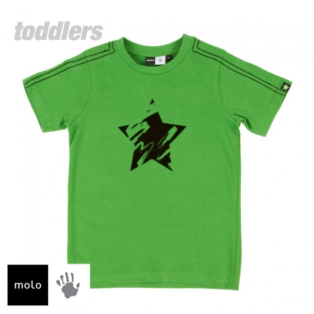 Boys Molo Raul T-Shirt - Bracing Forrest