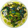 Mookie Toys Ninja Turtle 23cm Playball
