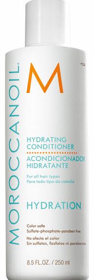 Moroccanoil Hydrating Conditioner 250ml