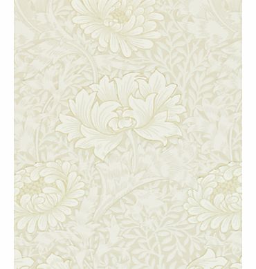 Chrysanthemum Wallpaper