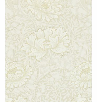 Chrysanthemum Wallpaper