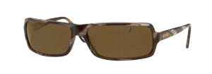 3683S Sunglasses