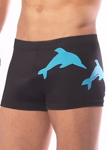 Dolphin swim brief