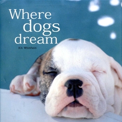 MQ Publications Where Dogs Dream (Book)