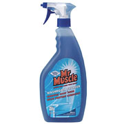 Mr Muscle Washroom Cleaner