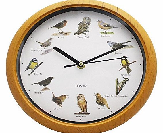 MTS Singing Birds Wall Clock 12 Bird Sounds Every Hour Sleep Mode Battery Operated