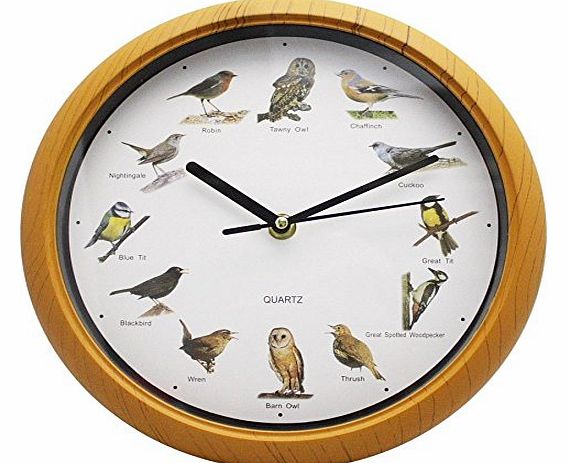 MTS Singing Birds Wall Clock 12 Bird Sounds Every Hour Sleep Mode Battery Operated