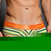 Mundo Unico paisaje brief