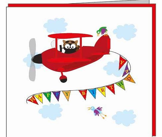 My Cat Pip General Birthday Greeting Cards (Pip On An Aeroplane)
