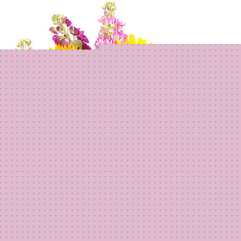 Sunshine & Chocolates - flowers