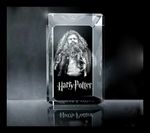 myPIX Hagrid 3D paperweight