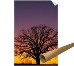 Photo Poster (12x18): Gift idea