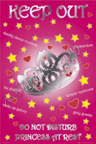 Mysterious World PRINCESS KEEP OUT KIDS POSTER