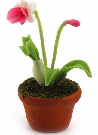 MyTinyWorld Dolls House Miniature Potted Pink and White Flower
