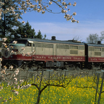 Napa Valley Wine Train - Adult