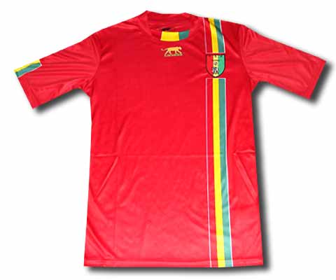 National teams  07-08 Guinea home