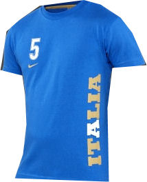 National teams Nike 08-09 Italy Cannavaro Hero Tee (blue)