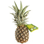 Natoora France Queen Victoria Pineapple