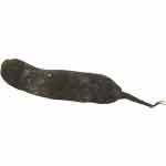 Natoora Organic Long Black radish