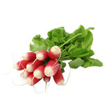 Natoora Radish