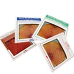 NATOOTE LA FAMILLE World tour of salmons