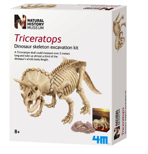 natural history museum Dig-A-Dino Triceratops