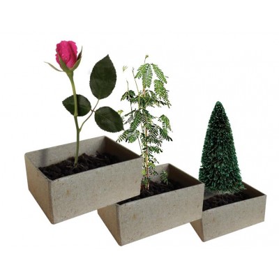 Natural History Museum Poo in a Box