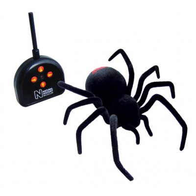 Natural History Museum RC Black Widow Spider