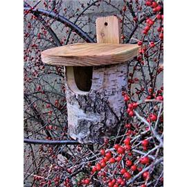 natural Silver Birch Log Robin Box