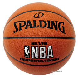 Sliver Indoor/Outdoor Basketball-NBA Sliver