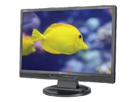 NEC AccuSync LCD24WMCX PC Monitor