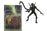 Neca Alien Warrior Figure & Classic Alien Wall Relief