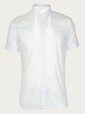 shirts white