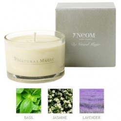 ORGANIC MINI TREATMENT CANDLE -
