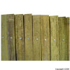 Netlon Bamboo Extending Trellis 900mm x 1.8Mtr
