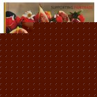 The Bittersweet World of Chocolate