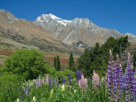 New Zealand holiday with Fiji stopover