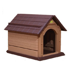 next 21 Kennel Large