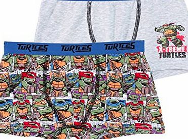 Nickelodeon Boys Boxers : TMNT Teenage Mutant Ninja Turtles : 2 pack : Size 2 to 8 Underwear (6-8 Years)