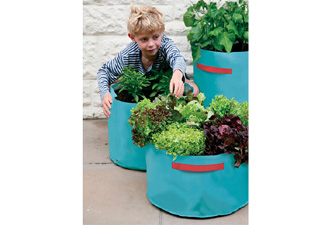 Nigel`s Eco Store 3 Turquoise Vegetable Patio Planters
