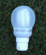 Nigel`s Eco Store 7 Watt Compact Classic Lightbulb - last ages