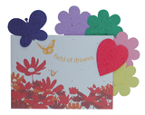 Nigel`s Eco Store Field of Dreams - a magical gift for any age