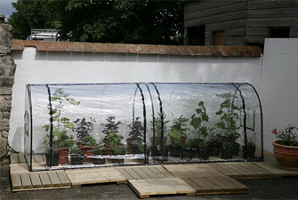 Mini Greenhouse Polythene Cover