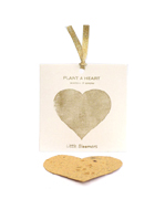 Nigel`s Eco Store Plant a Decoration: Heart - a Christmas