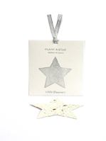 Nigel`s Eco Store Plant a Decoration: Star - a Christmas