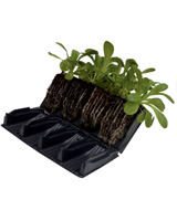 Nigel`s Eco Store Rapid Root Trainer - brilliant for bedding