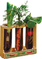 Nigel`s Eco Store Root Viewer - observe vegetables growing right