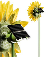 Nigel`s Eco Store Solar Powered Spinning Sunflower - for a little