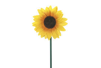 Nigel`s Eco Store Solar Powered Spinning Sunflower